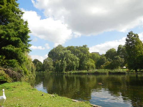 An image depicting the trail St James Park LAke and Whitehall Garden and its surrounding area.