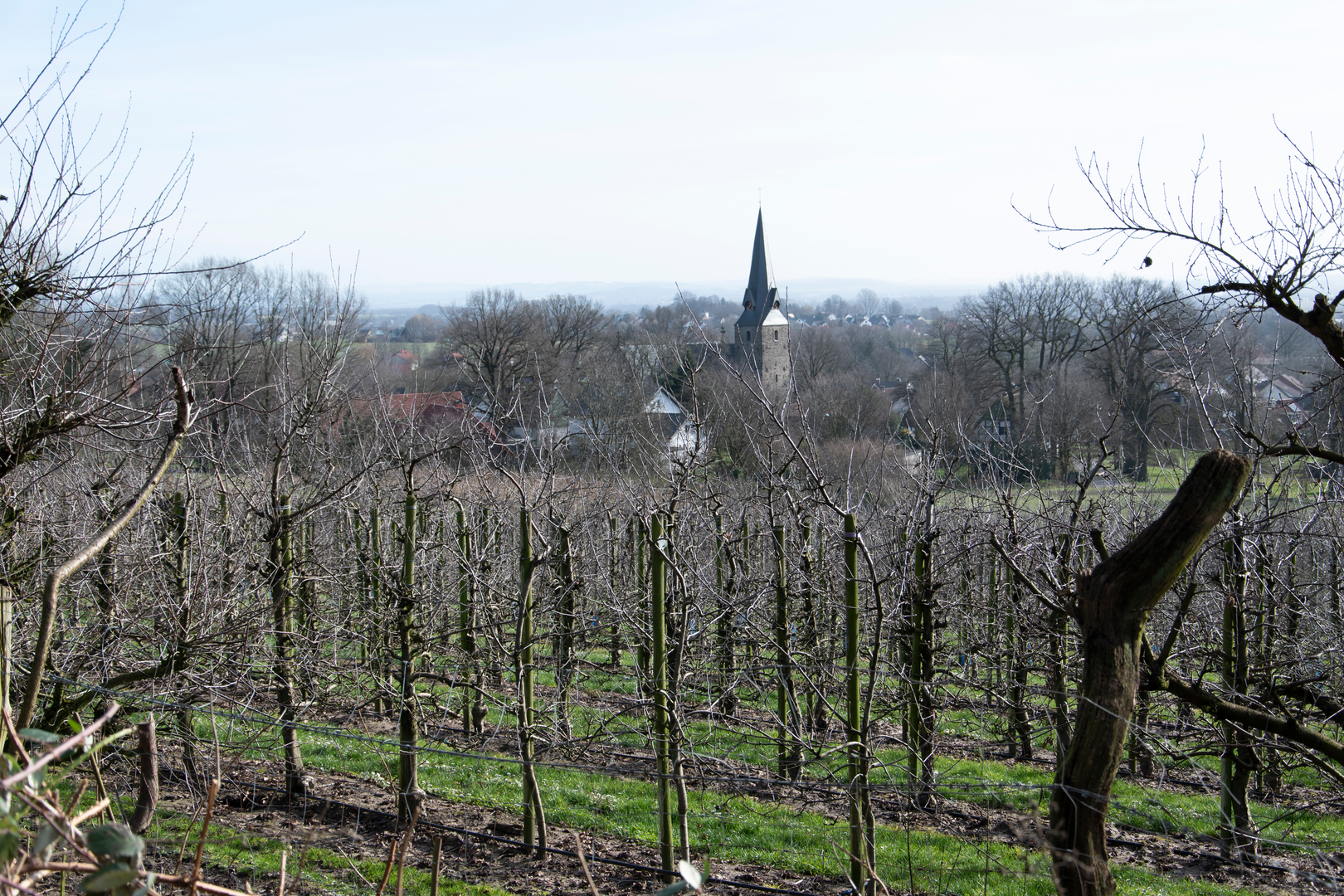 An image depicting the trail Mühlenweg im Wiehengebirge and its surrounding area.