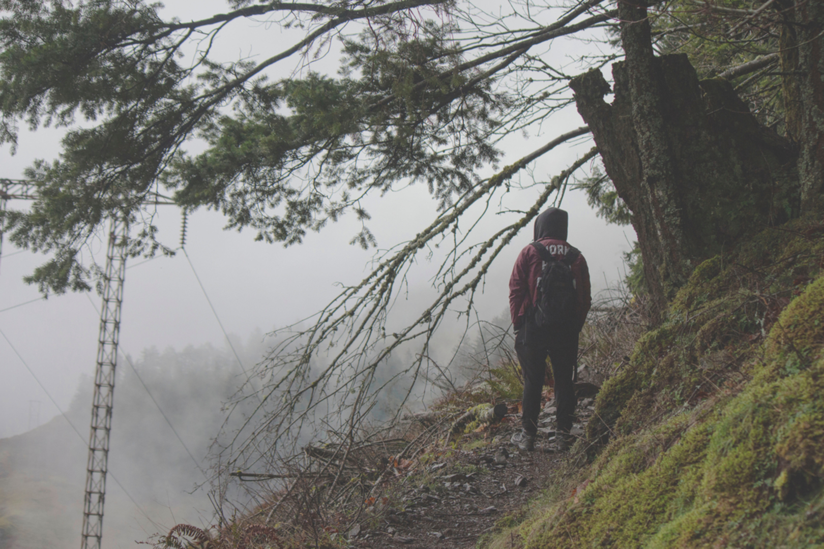 An image depicting the trail Mount Defiance, Warren Lake and Starvation Ridge Trail and its surrounding area.