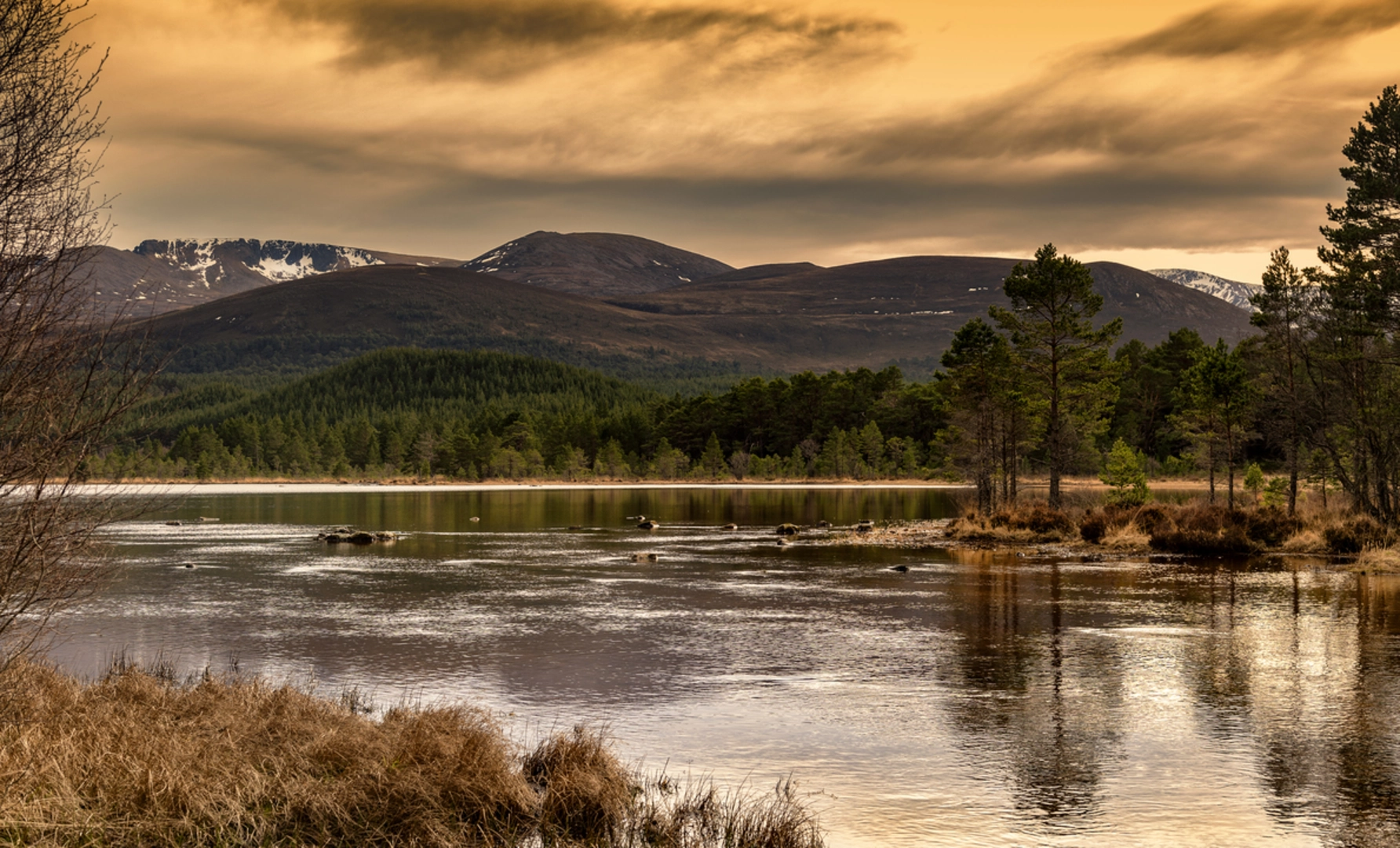 An image depicting the trail Base Station and Aviemore via Loch an Eilein and its surrounding area.