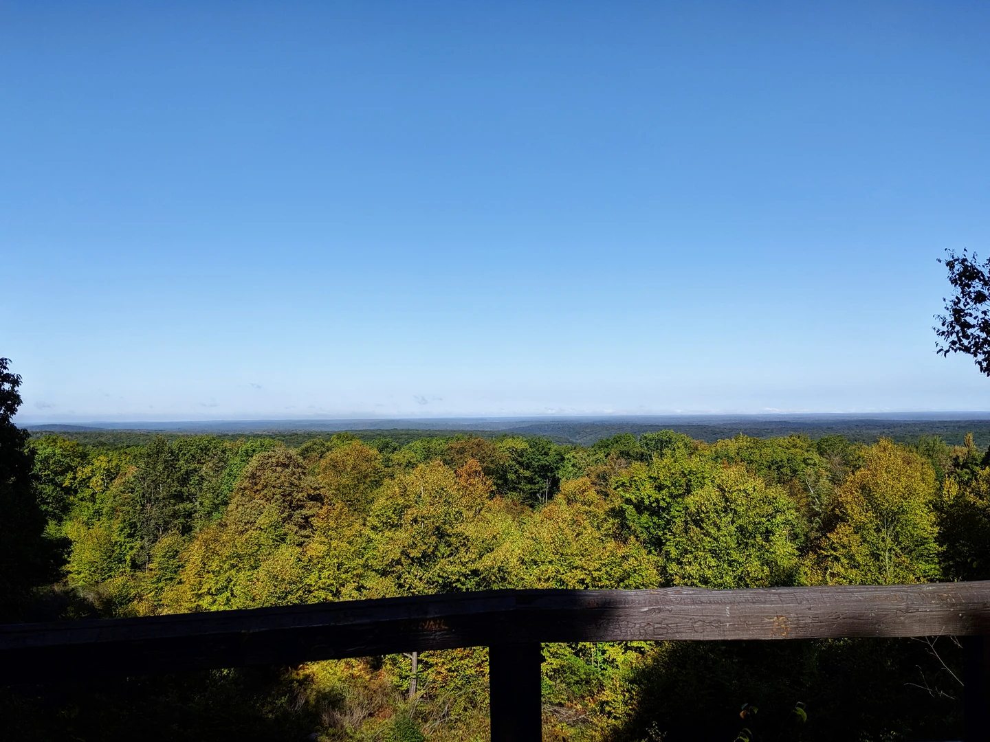 An image depicting the trail Beartown Rocks and its surrounding area.