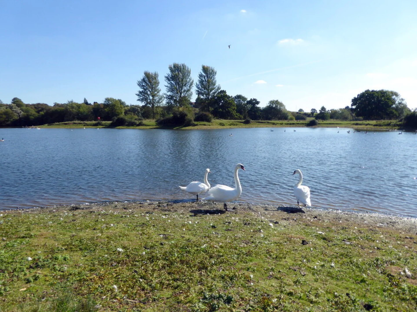 An image depicting the trail Harrold Odell Country Park and its surrounding area.