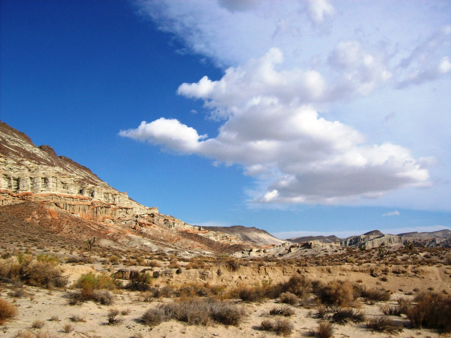 An image depicting the trail Opal Canyon Road and its surrounding area.