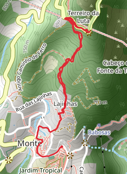 Funchal Hiking mobile static map