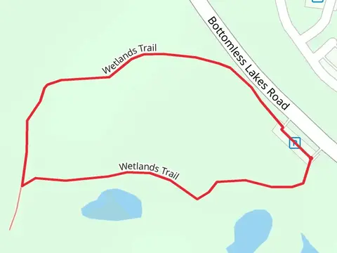 Wetlands Loop Trail