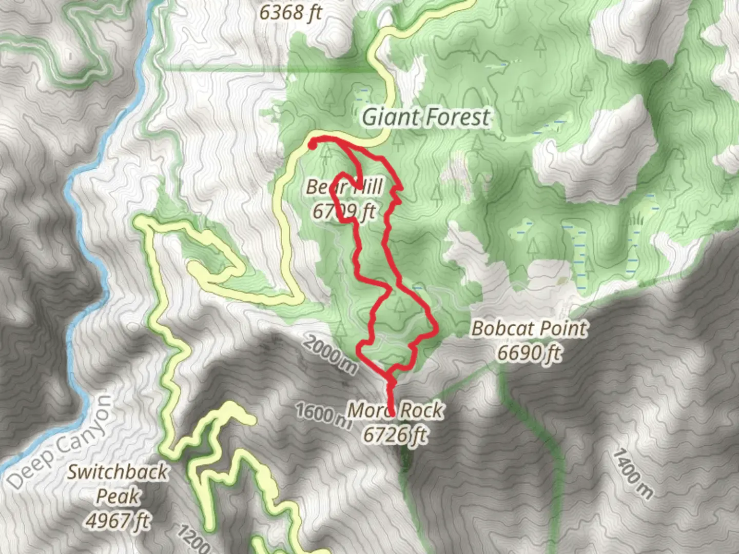 An image depicting the trail Bear Hill Trail, Alta Trail and Soldiers Hill Trail and its surrounding area.