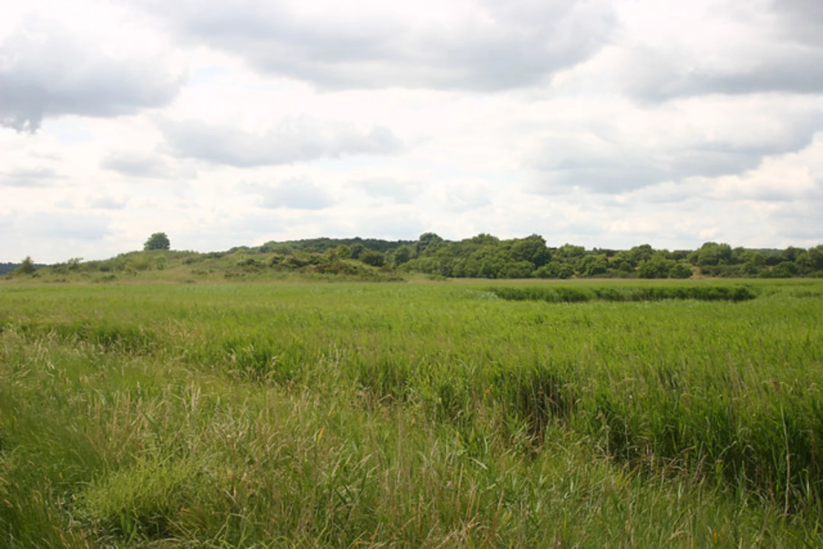An image depicting the trail Dingle Great Hill Walk and its surrounding area.