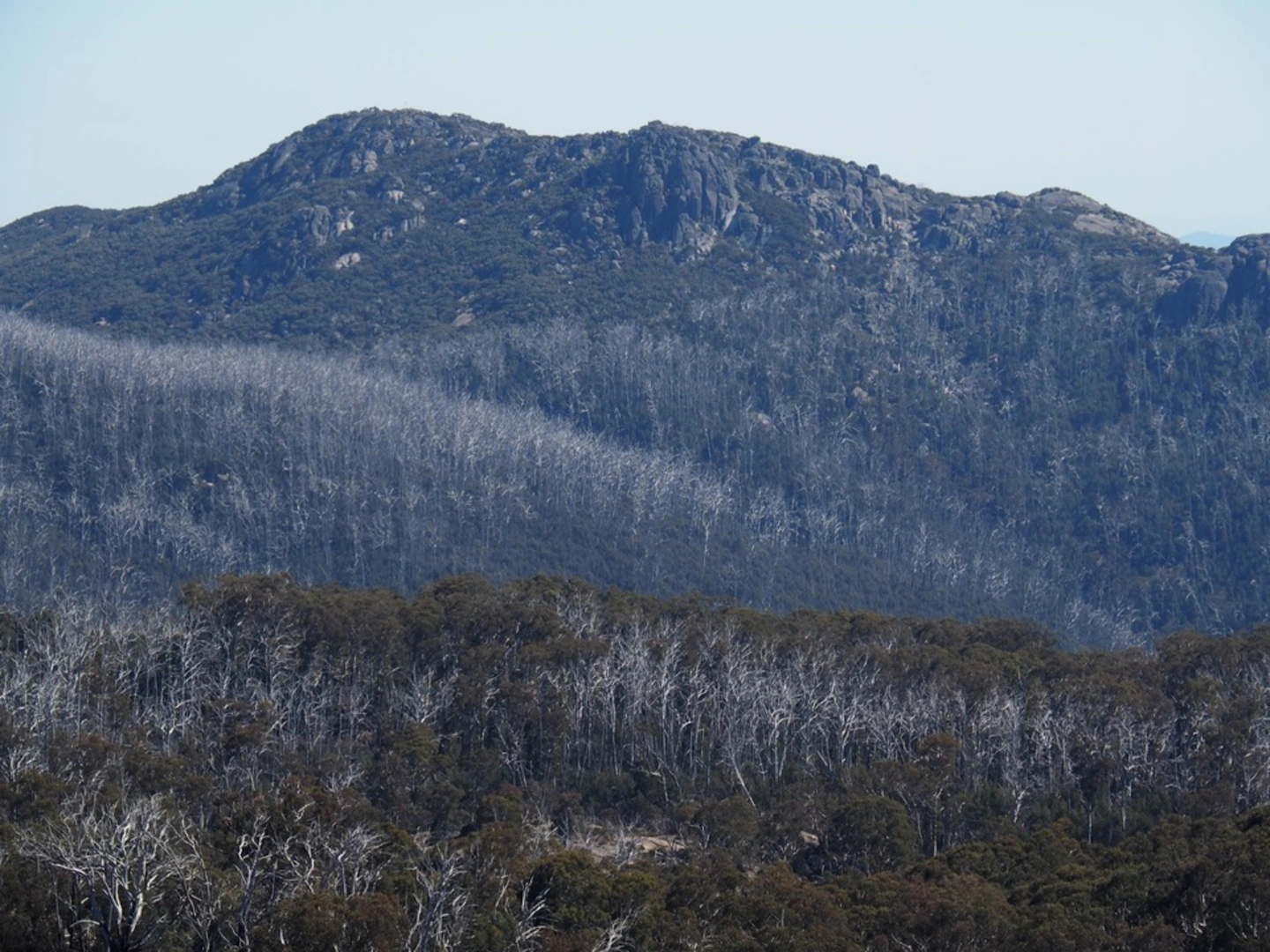 An image depicting the trail Mount Dunn Og Gog Magog Circuit and its surrounding area.