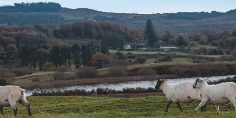 An image depicting the trail Gougane Barra - Sli Doire Na Coise and its surrounding area.