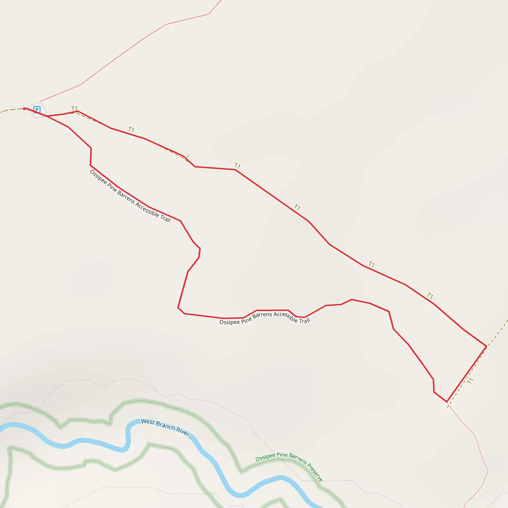 Ossipee Pine Barrens Accessible Trail Loop mobile static map