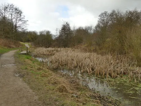 An image depicting the trail Primrose Valley Park Loop and its surrounding area.