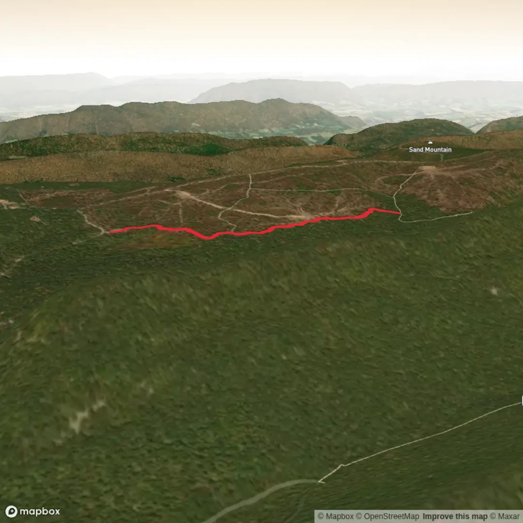 An image depicting the trail Link Trail and its surrounding area.