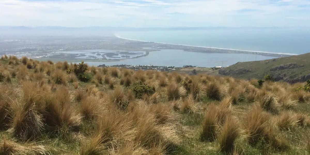 Bridge Reserve to South New Brighton Park
