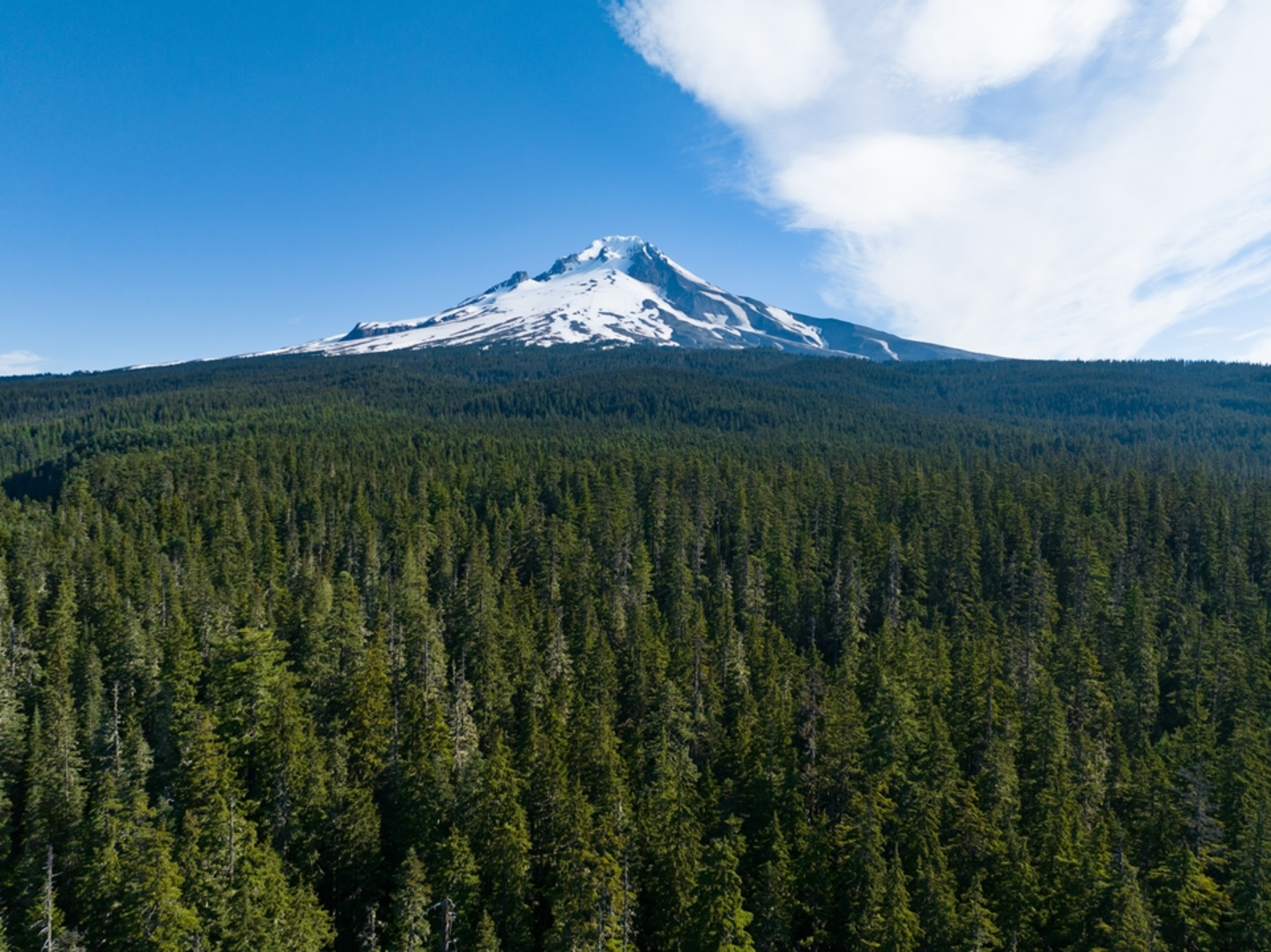 An image depicting the trail Barrett Spur Trail via Pinnacle Ridge Trail and its surrounding area.