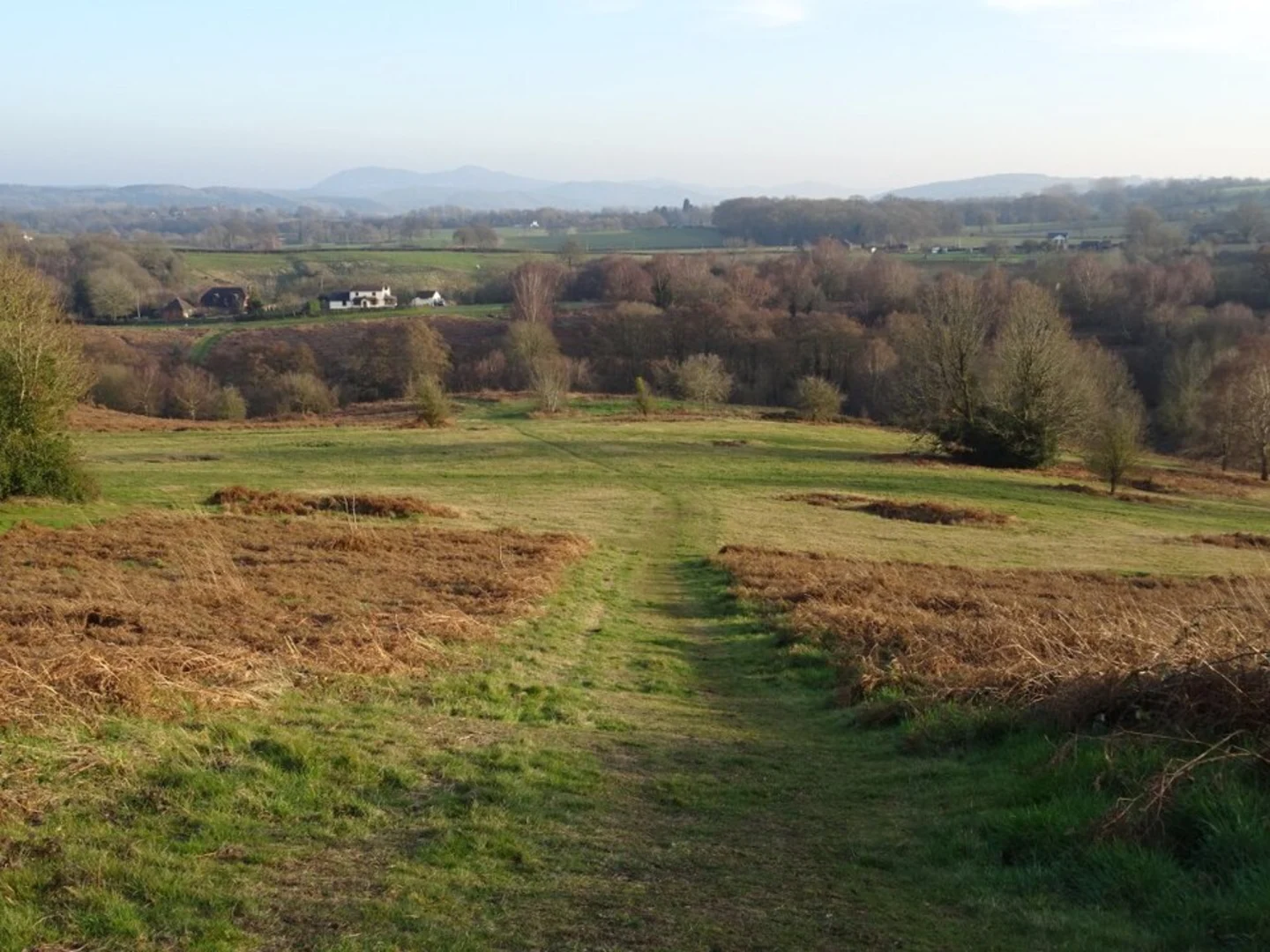 An image depicting the trail Bringsty Common Loop and its surrounding area.