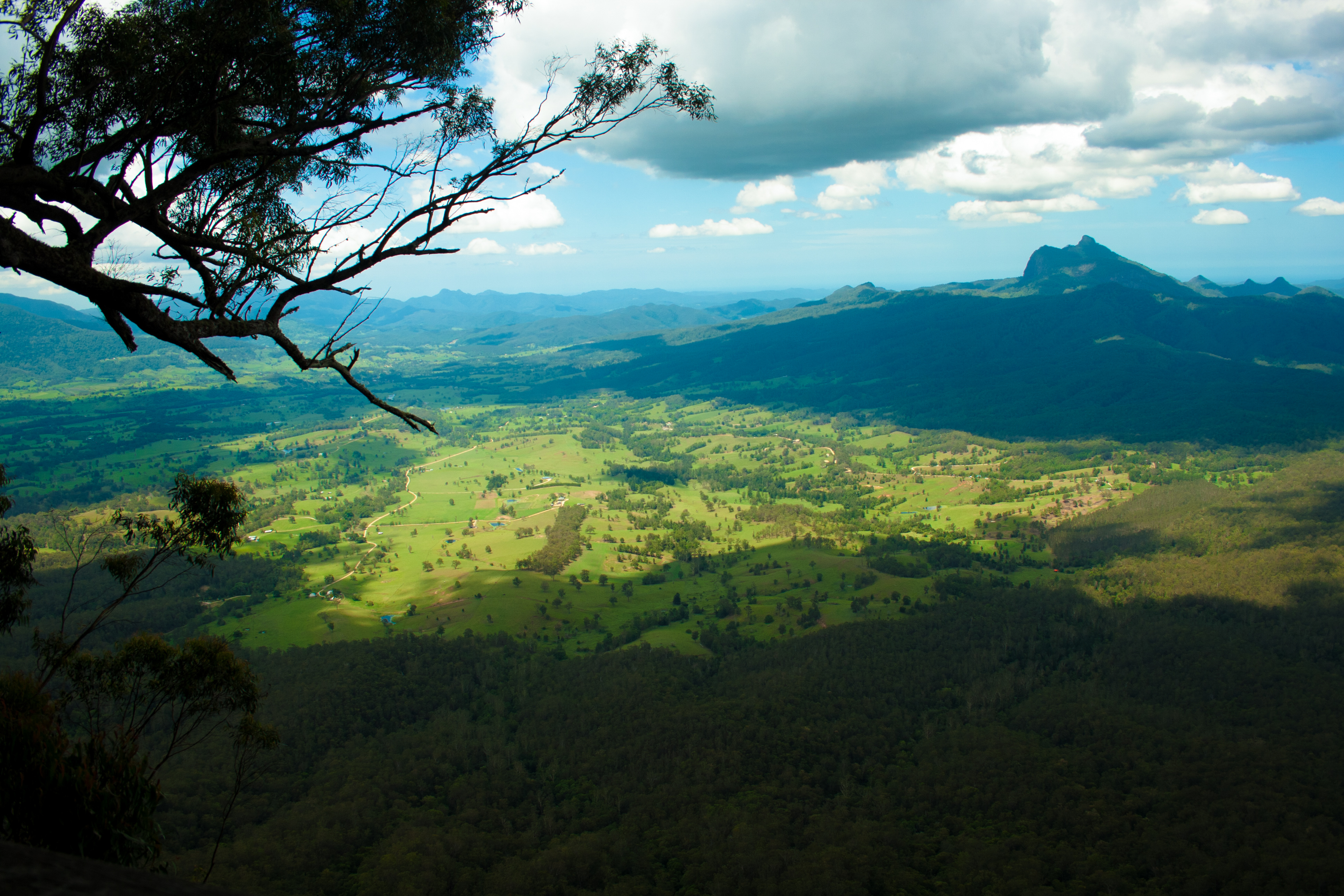 An image depicting the trail Border Ranges National Park and its surrounding area.