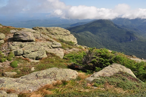 An image depicting the trail Mount South Twin and Mount Guyot via Twinway and Zealand Trail and its surrounding area.