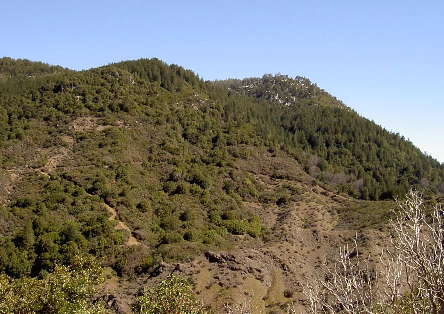 An image depicting the trail Cobb Mountain via Cobb Mountain Old Road and its surrounding area.