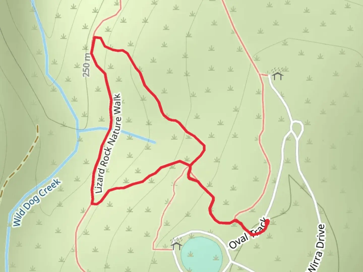 An image depicting the trail Lizard Rock Trail and its surrounding area.