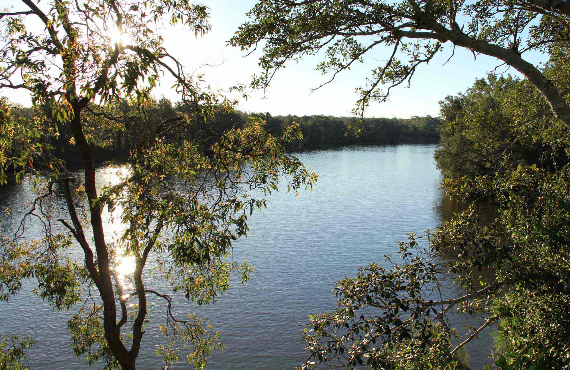 An image depicting the trail Cattai National Park and its surrounding area.