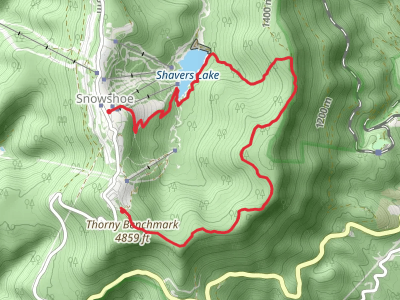 Cheat Mountain Ridge Trail and Bail Out Trail