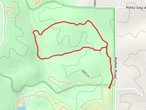 Blazing Star Loop Trail