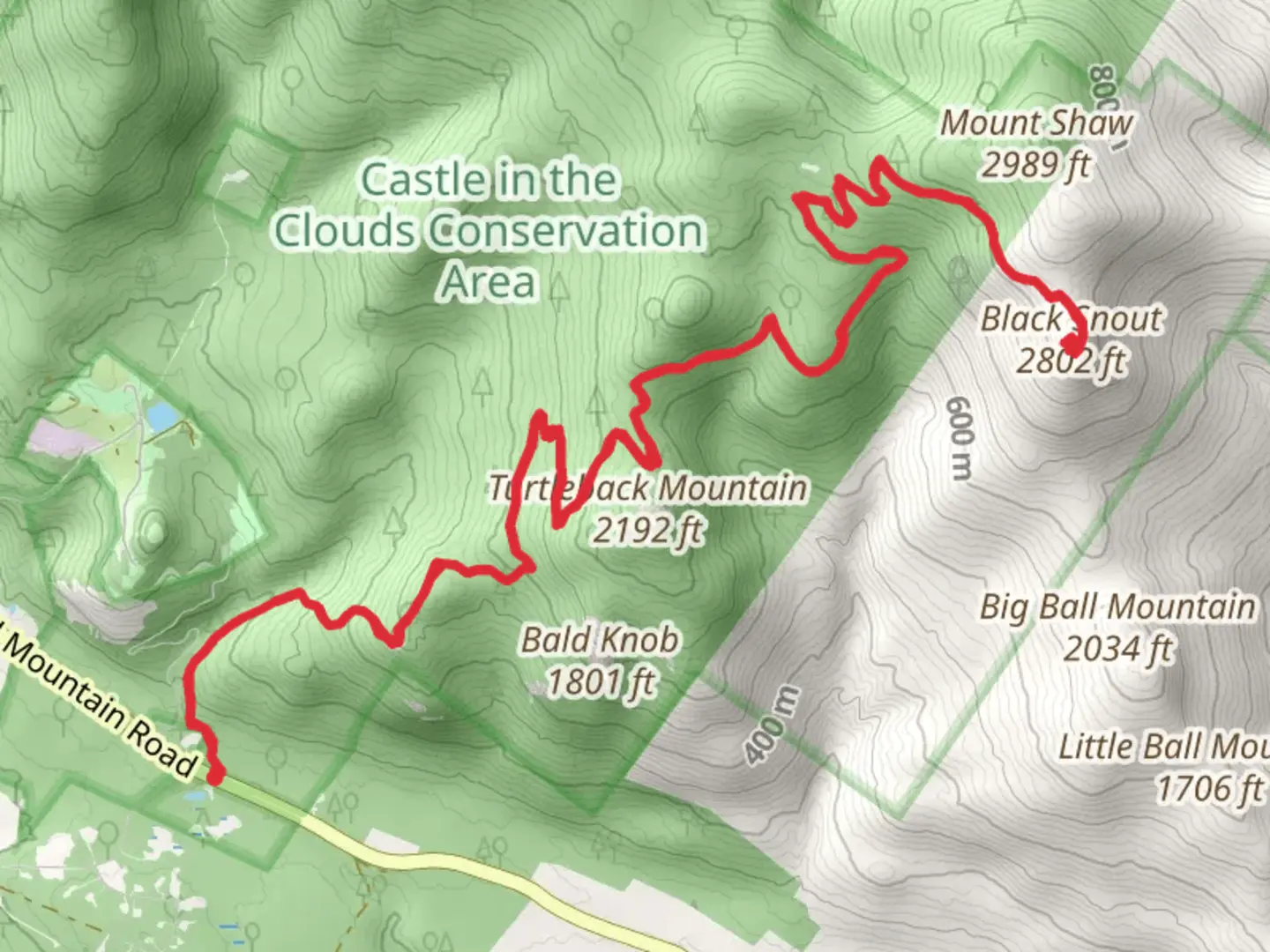 An image depicting the trail Black Snout via Shannon Brook Trail and its surrounding area.