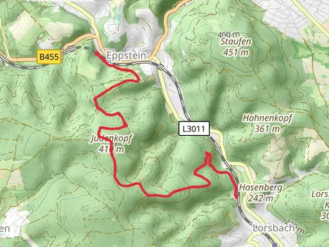 Judenkopf Hill Walk via Theodor Fliedner Weg