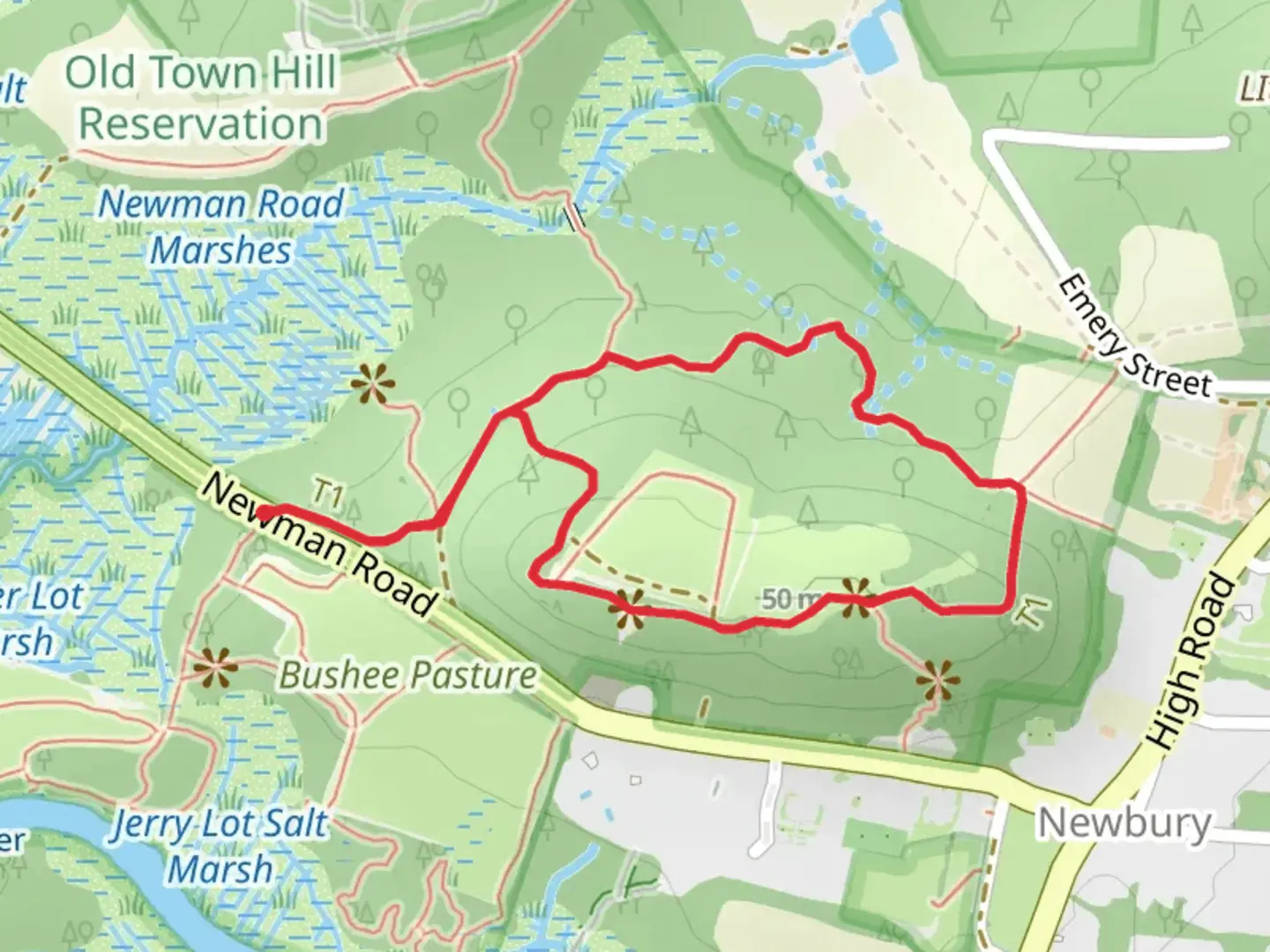 An image depicting the trail Evergreen Plantation - Old Town Hill Loop and its surrounding area.