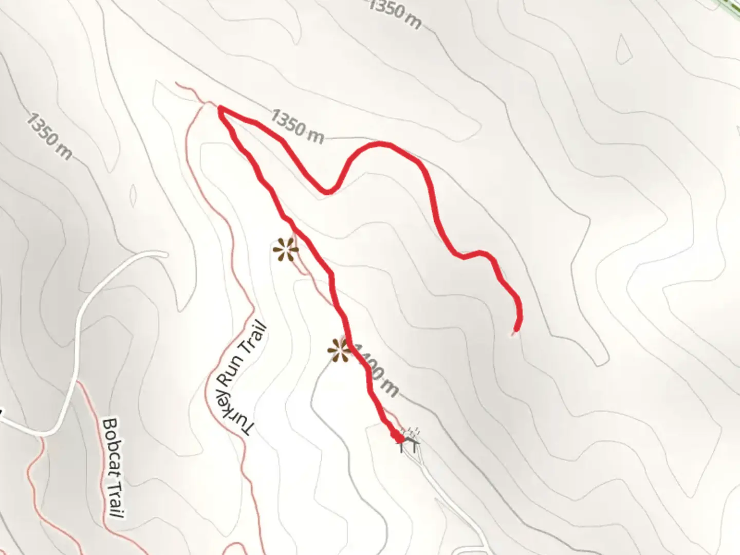 An image depicting the trail Cedar Ridge Trail and its surrounding area.