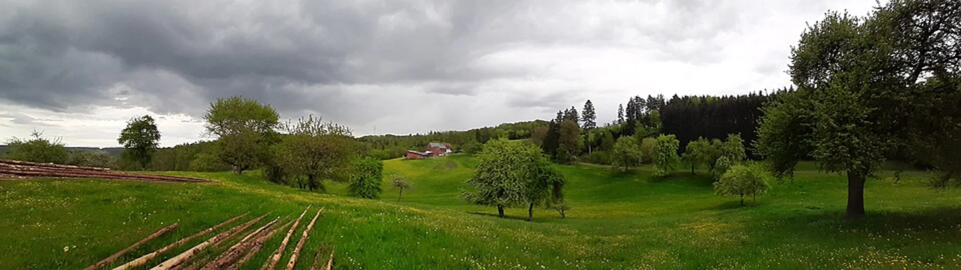 An image depicting the trail Breisgauer Weinweg and Himmelreich Jakobusweg Loop and its surrounding area.