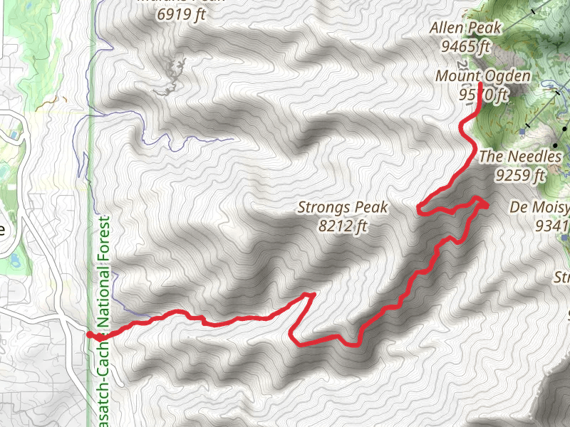 Mount Ogden via Beus Canyon Trail
