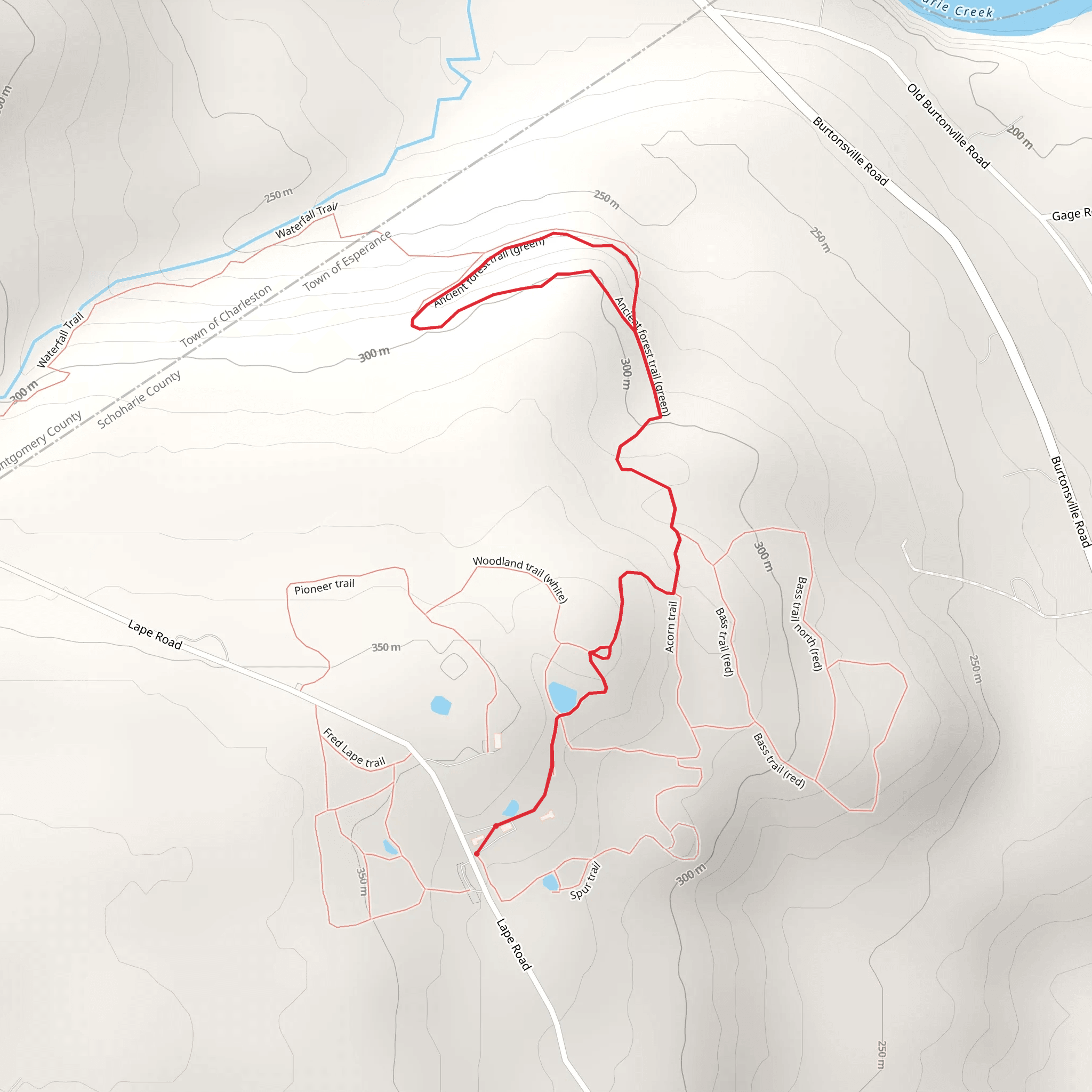 Lape Road Loop mobile static map