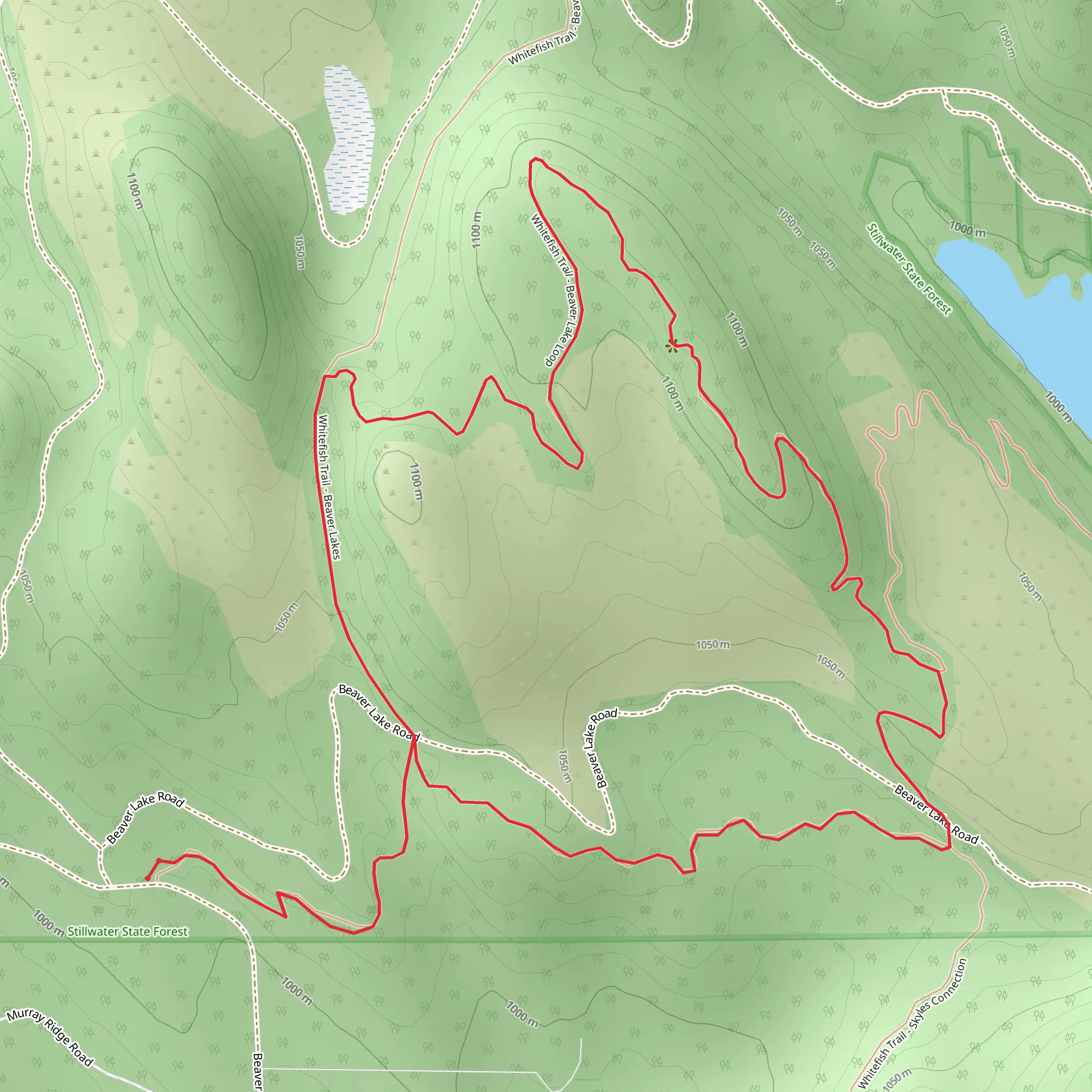 Whitefish Trail - Beaver Lakes Loop mobile static map