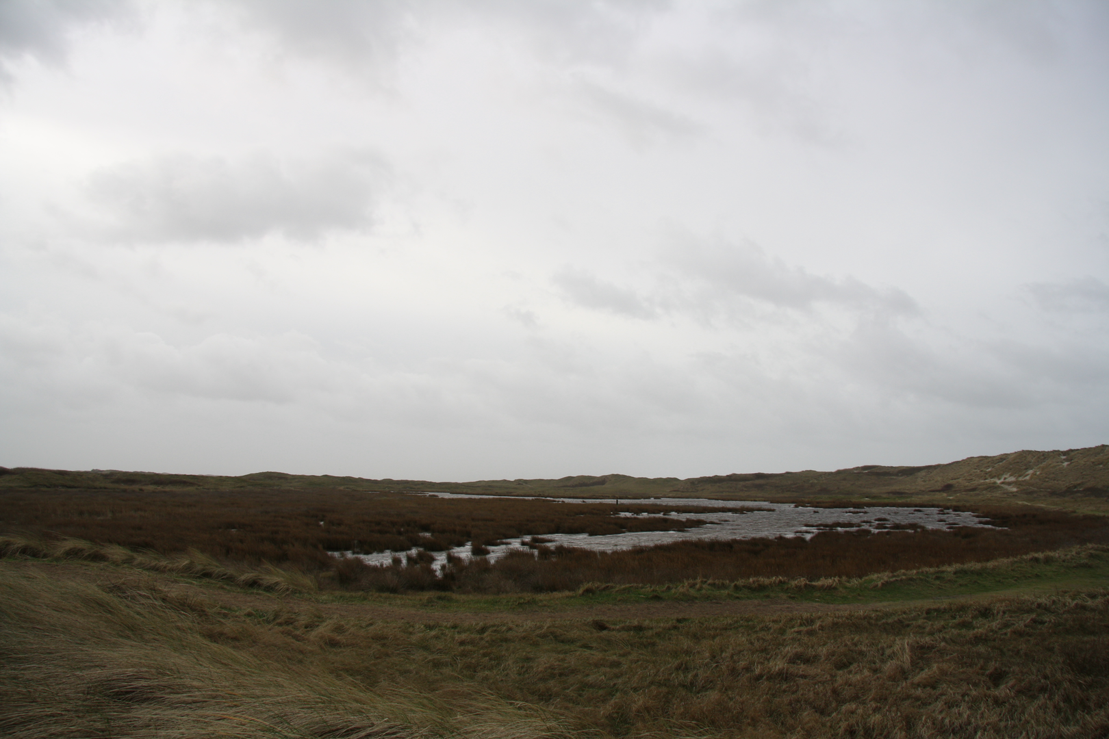 An image depicting the trail De Koog to De Cocksdorp via De Slufter and Robbengat and its surrounding area.