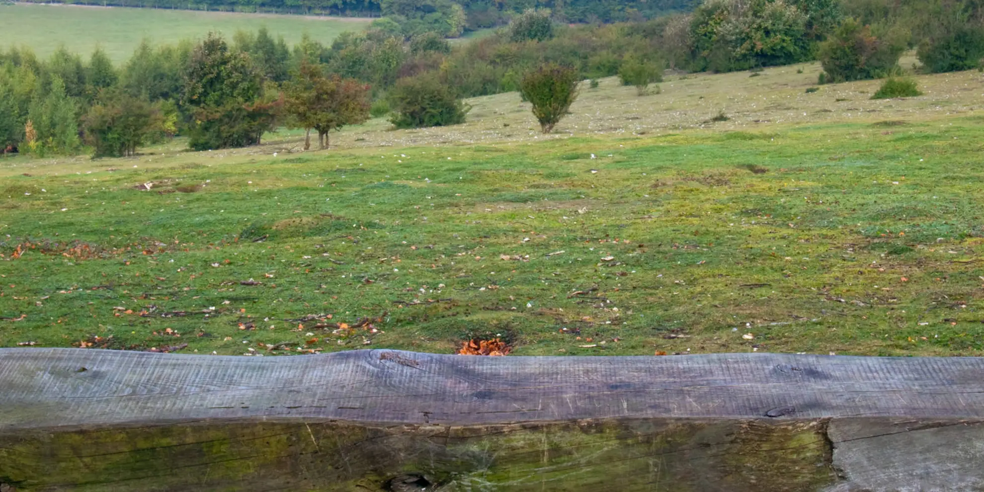 An image depicting the trail The Ridgeway at the End of the Chilterns and its surrounding area.
