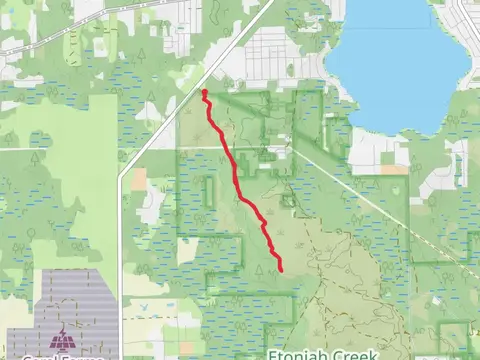 Florida Trail - Tinsley Road