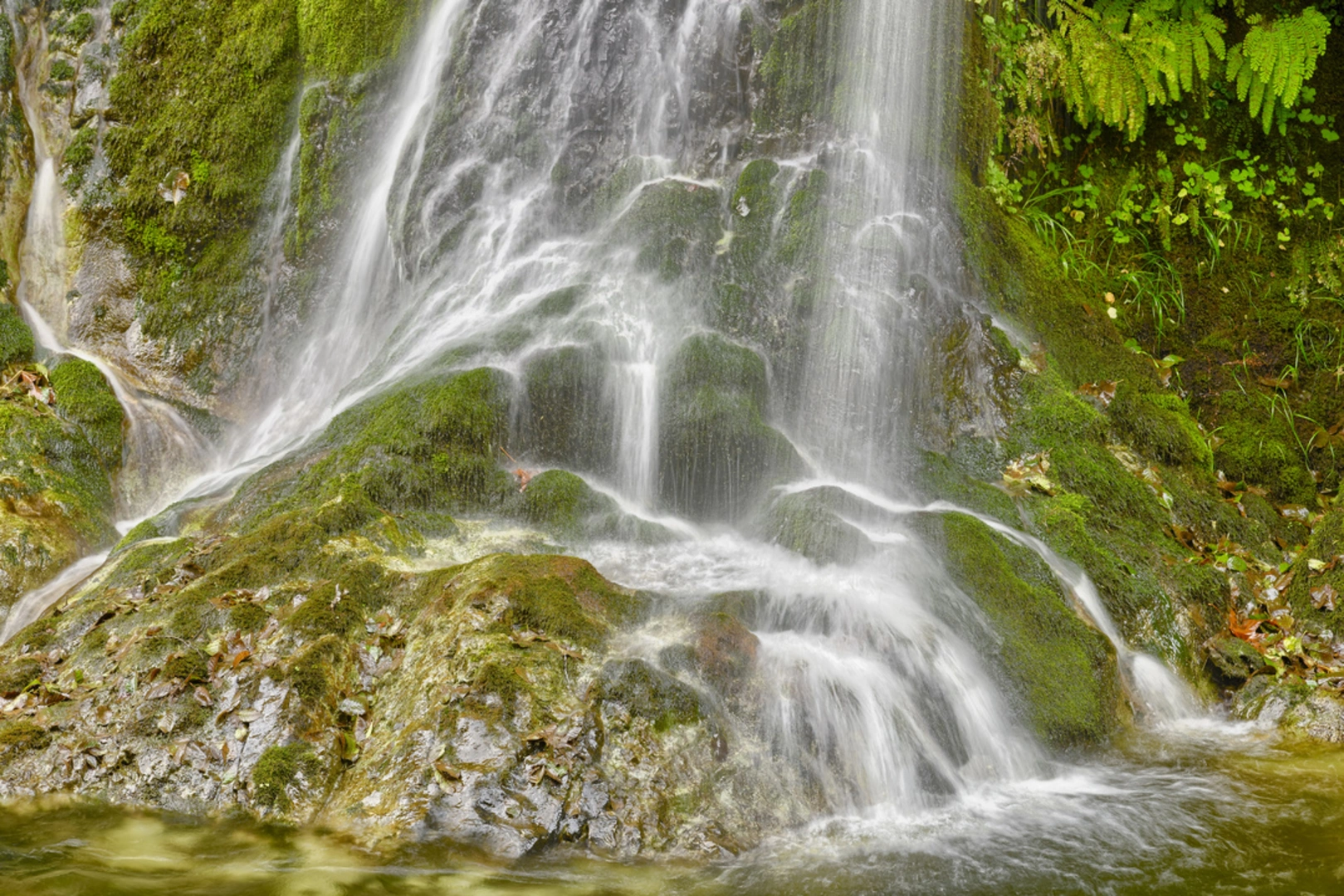 An image depicting the trail Salmon Creek Trail and its surrounding area.