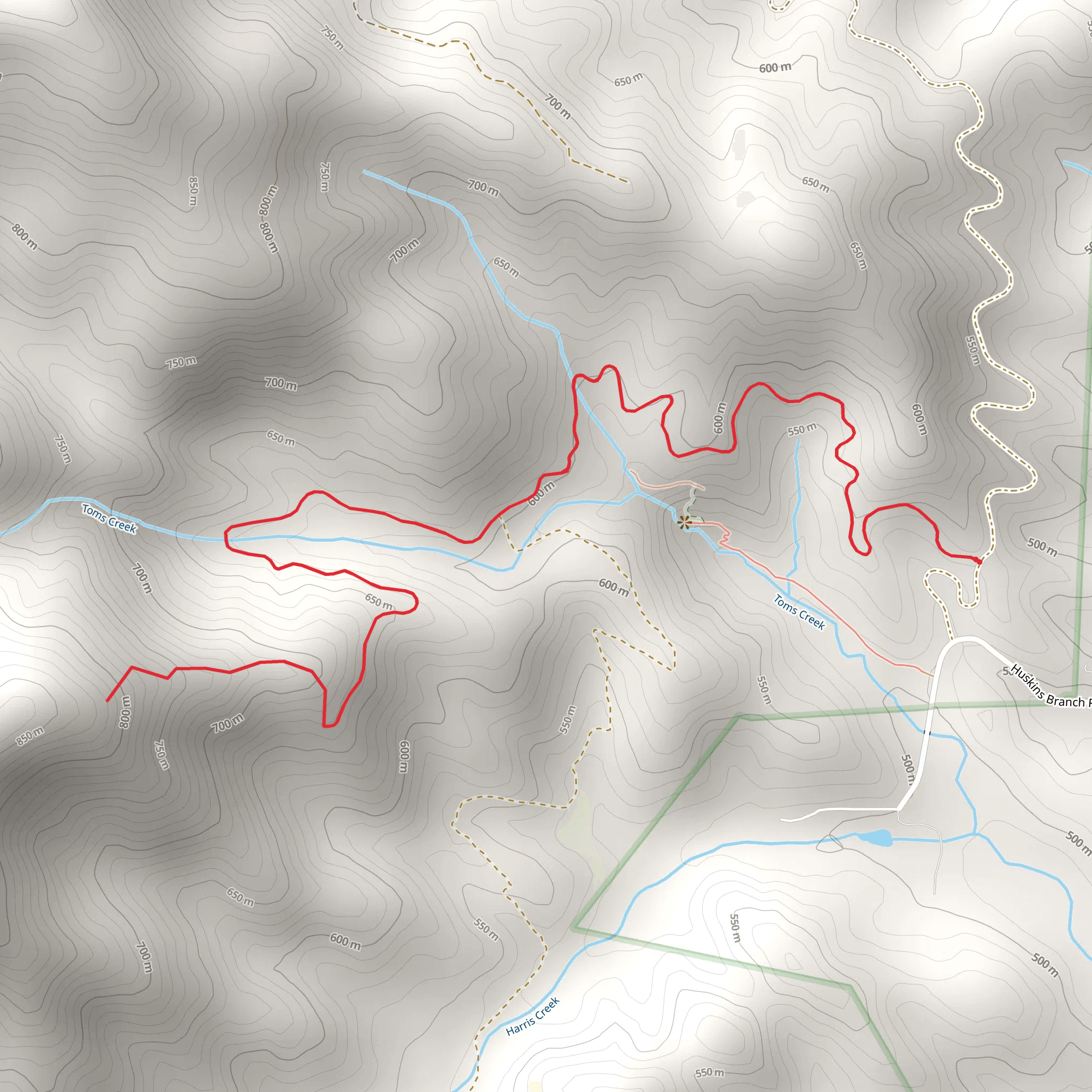 Toms Creek and Falls Branch mobile static map