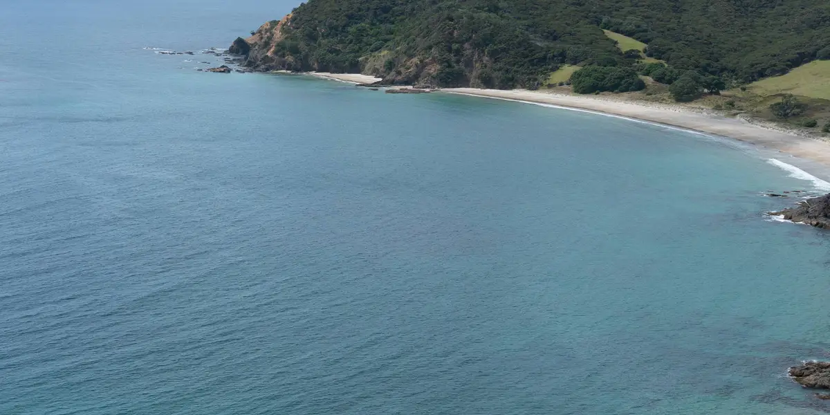 Harataonga Loop Track