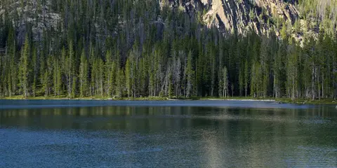 An image depicting the trail Bighorn Crags - Reflection Lake and its surrounding area.