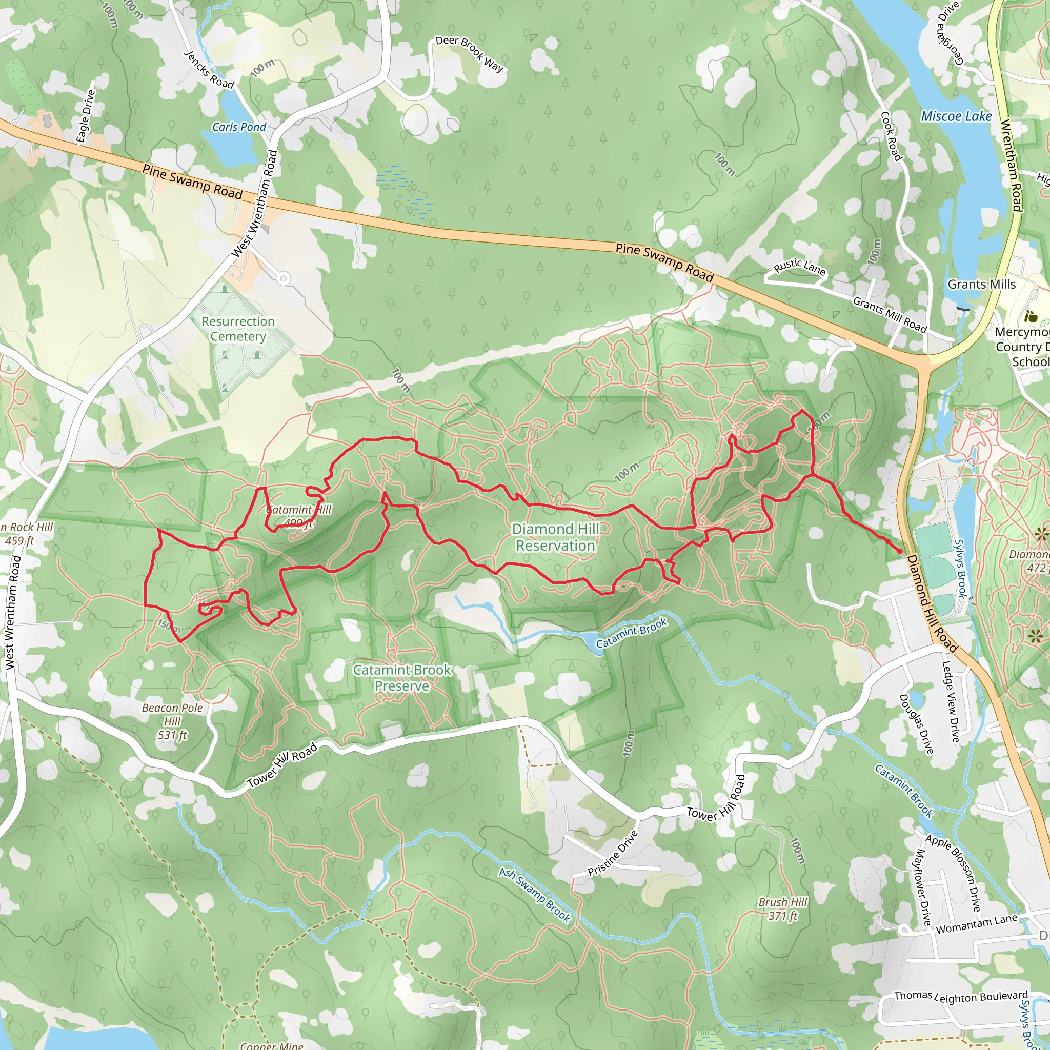 Catamint Hill in Diamond Hill Reservation Loop mobile static map