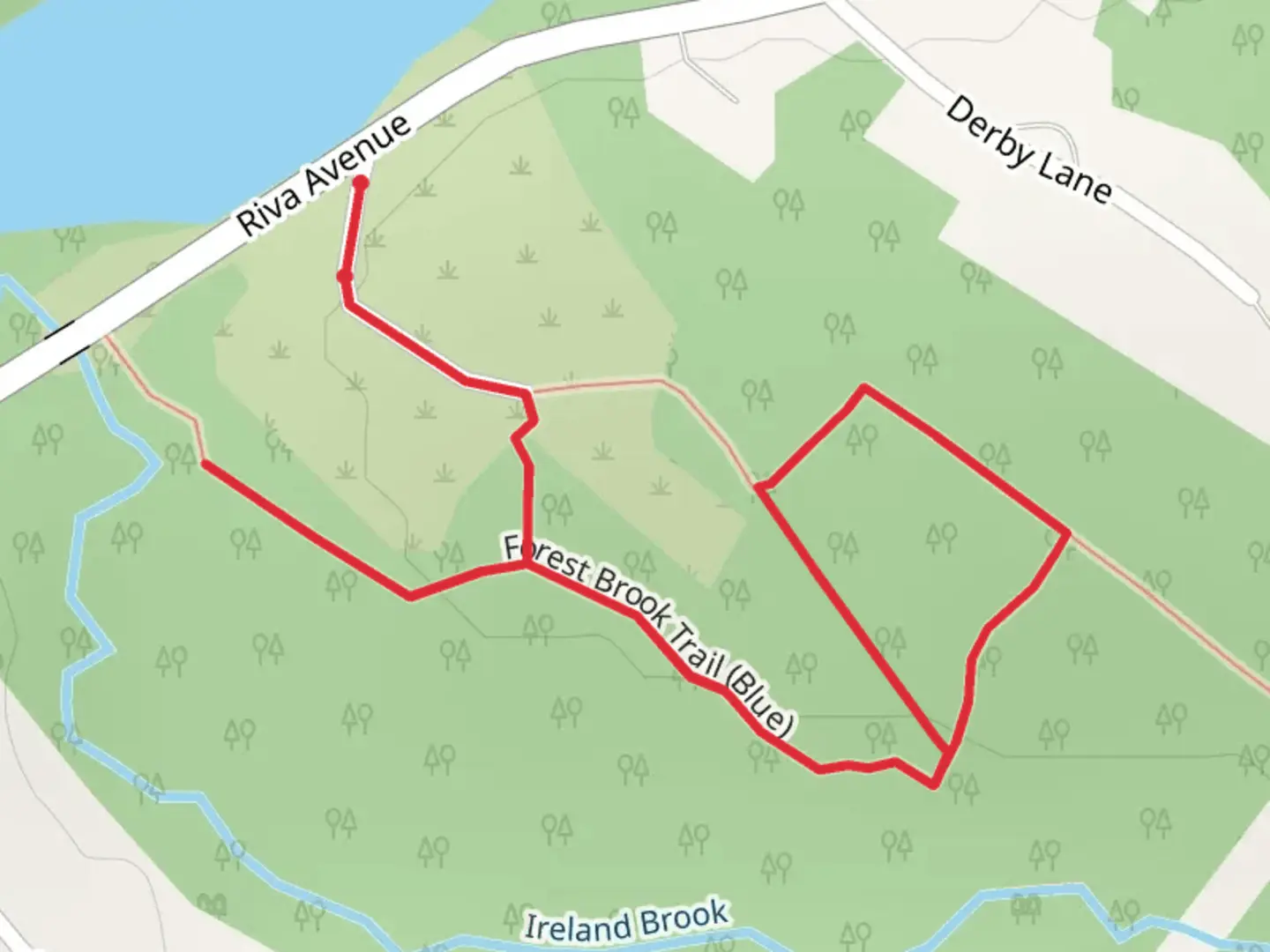 An image depicting the trail Forest Brook Trail - Blue Loop and its surrounding area.