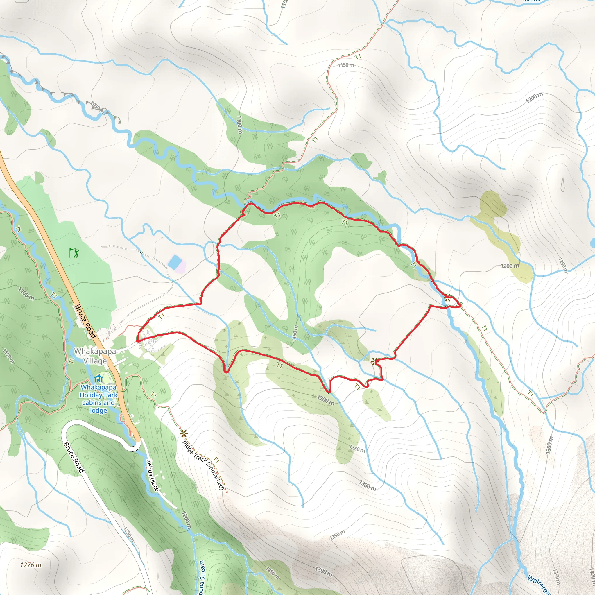 Taranaki Falls Loop mobile static map