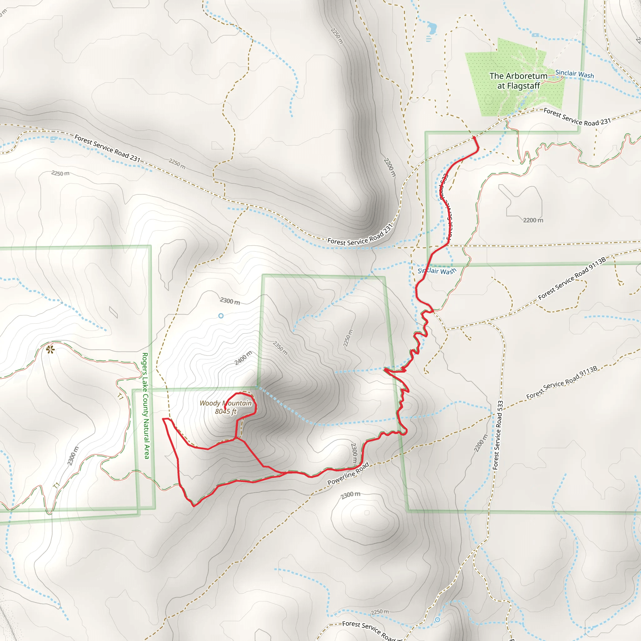 Woody Mountain mobile static map
