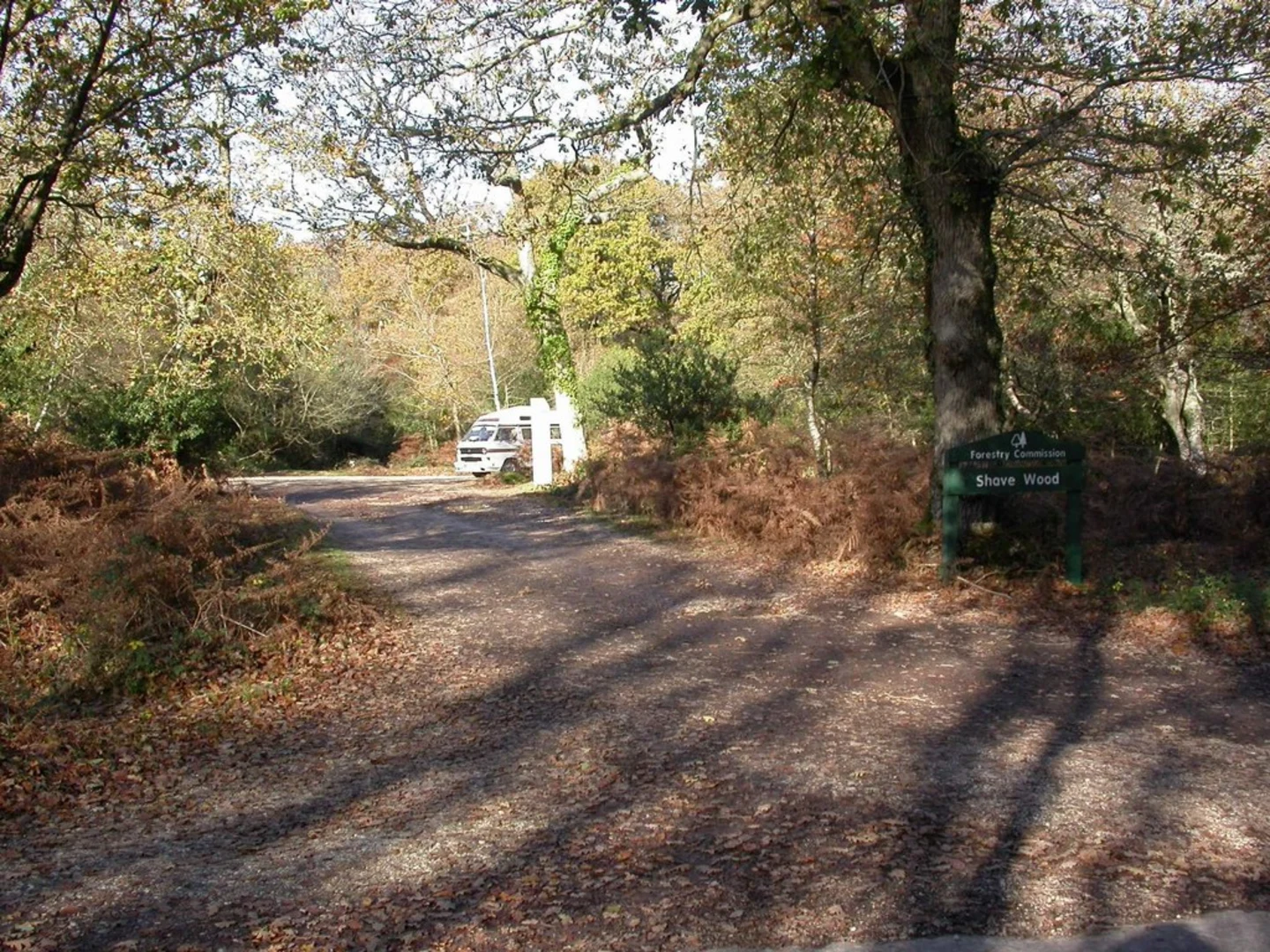 An image depicting the trail Rockram Wood and Shave Hat Loop and its surrounding area.