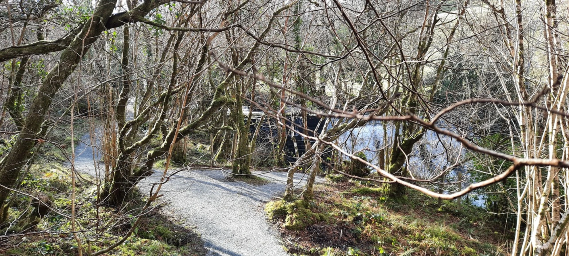 An image depicting the trail Fowley's Falls Trail and its surrounding area.