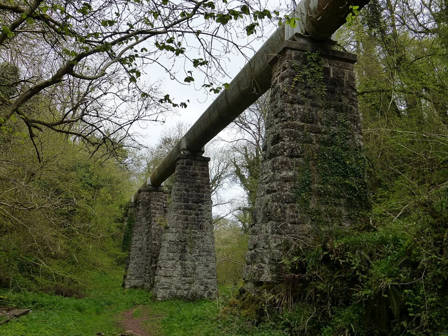 An image depicting the trail Harptree Combe and its surrounding area.