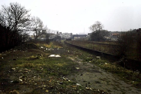 All Saints Park Loop