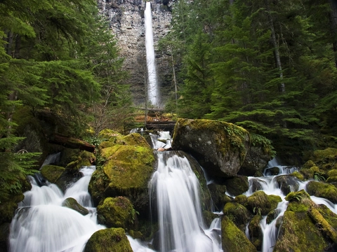 An image depicting the trail Watson Falls Trail and its surrounding area.
